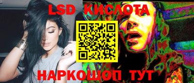 индика Кандалакша