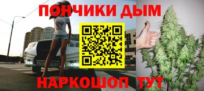 индика Кандалакша