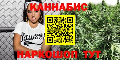 индика Кандалакша