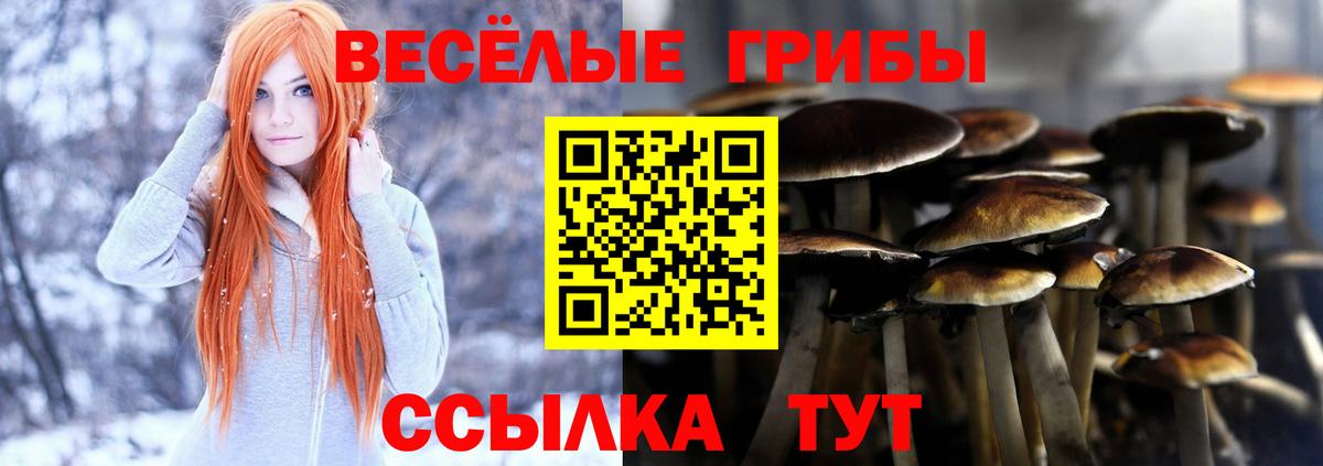 как найти   Вход с VPN  Ирбит  Псилоцибиновые грибы мицелий  Псилоцибиновые грибы мухоморы 